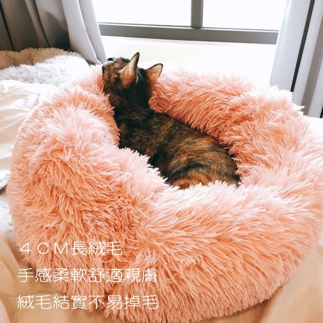 6款超值貓睡墊推薦,給主子最舒適的享受! 6款超值貓睡墊推薦,給主子最舒適的享受!