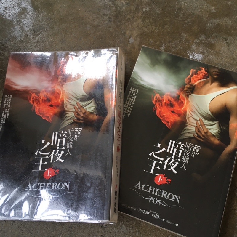 暗夜獵人 暗夜之王 上下 雪洛琳•肯揚 春天出版 | 蝦皮購物