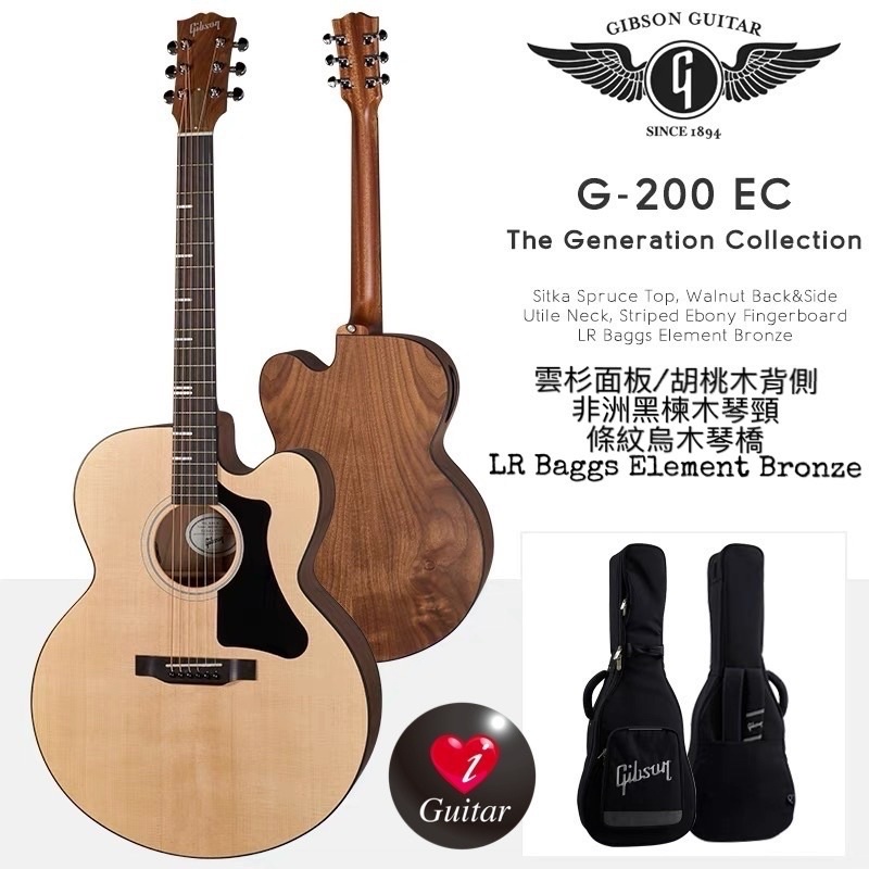 L.R.Baggs ELEMENT PLUS (Gibson J-45取外)-