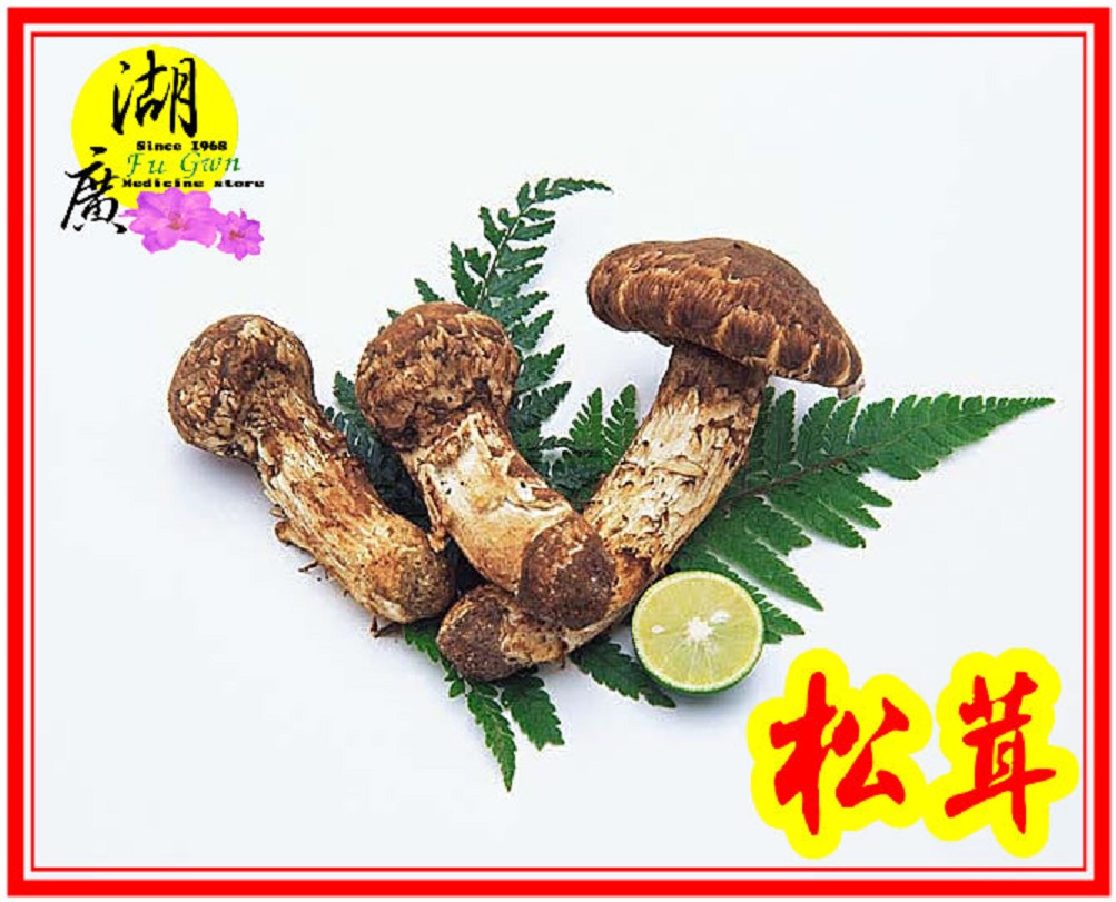 松茸 野生松茸片 以及 養殖松茸片 香格里拉松茸片 松菌 松口菌/一包100公克【啟陞食品】湖廣藥材 迪化街一段74號 | 蝦皮購物