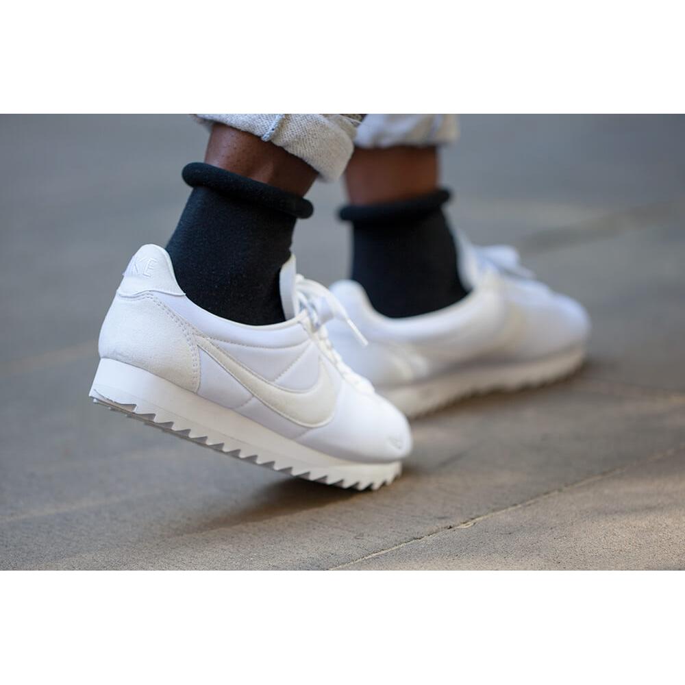 Shark awesomeness tooth cortez