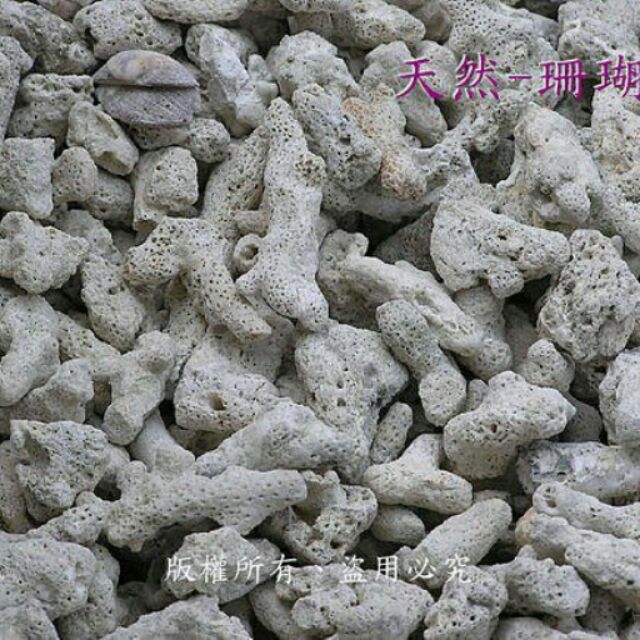 珊瑚砂20kg裝(免運) 珊瑚石珊瑚枝珊瑚沙貝殼沙貝殼砂珊瑚骨水族箱魚箱＊濾石過濾礫石底砂底沙| 蝦皮購物