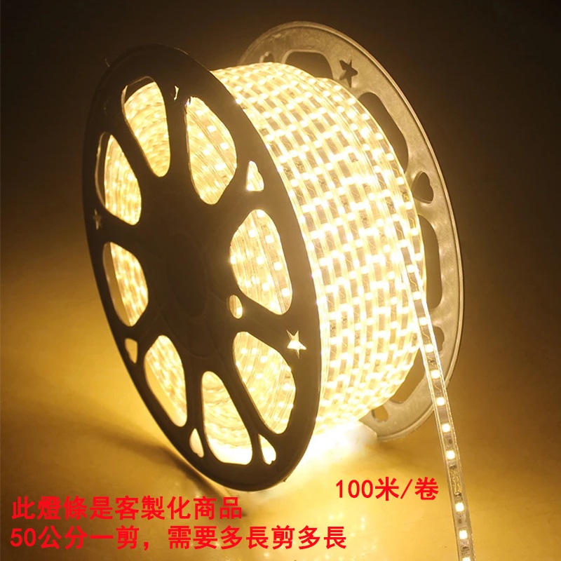 LED燈帶 110V高亮燈條 戶外防水 5050 七彩軟燈帶 16色RGB 家用客廳裝飾 吊頂暗槽 工程 超亮照明 變色 | 蝦皮購物