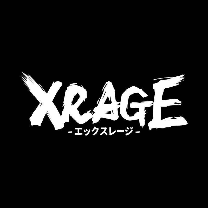 花京院典明 フィギュア収納ショッピングバッグ xrage 花京院典明人偶