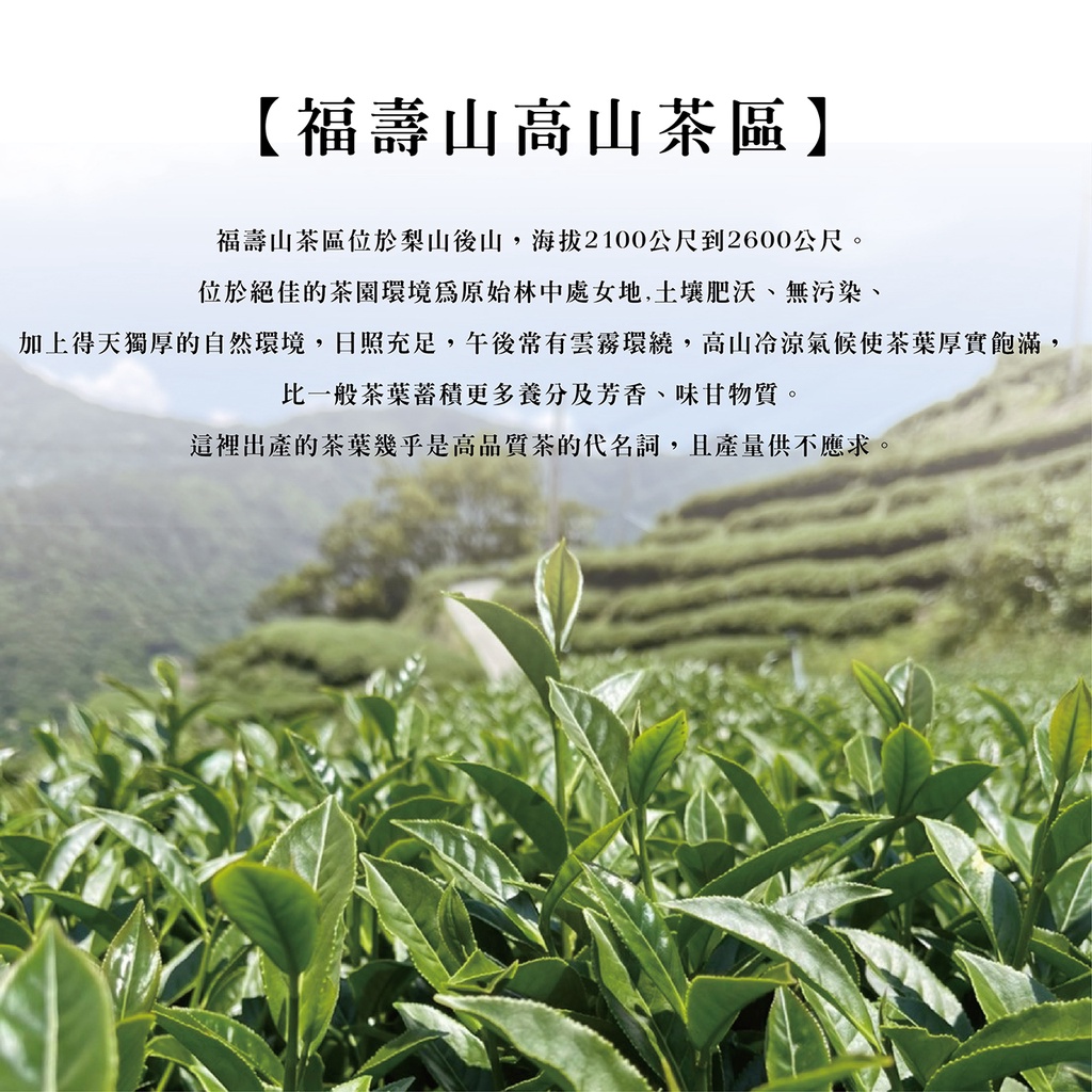 鶴茗台灣茶】天池| 高冷茶| 福壽山高山茶區| 絕美口感| 二兩(75g