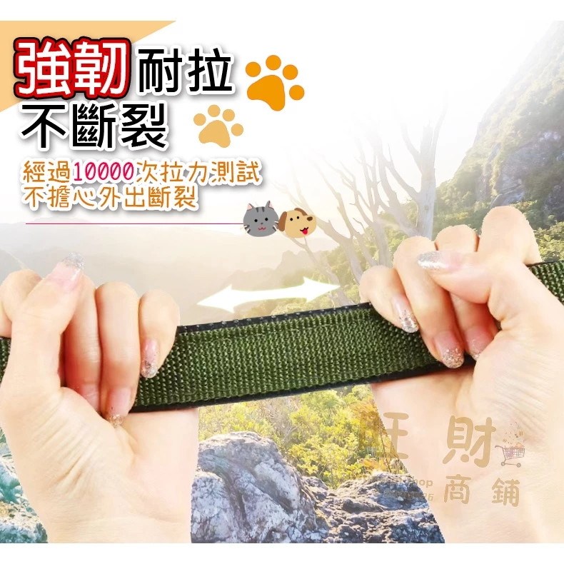 狗狗頸圈 寵物頸圈 泡棉項圈 中大型犬通用