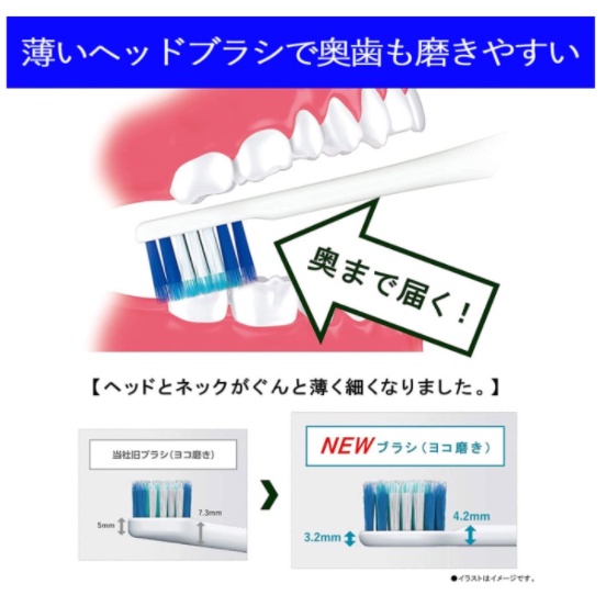 日本牌含稅直送】Panasonic 日本製EW-CDP55 EW-DP56 EW-DP38 Doltz