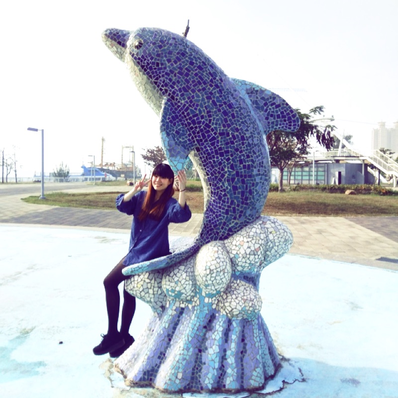 Ever Rise 1/200 A330-300 中華航空 台湾行政院農業委員會 中華航空空中