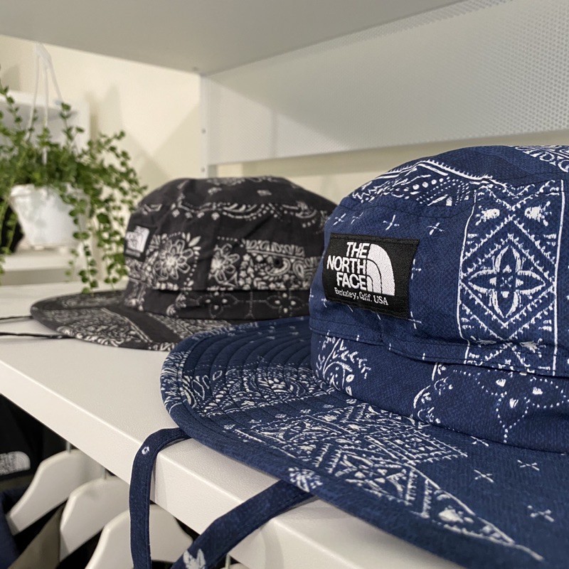 The north face novelty horizon hat new arrivals