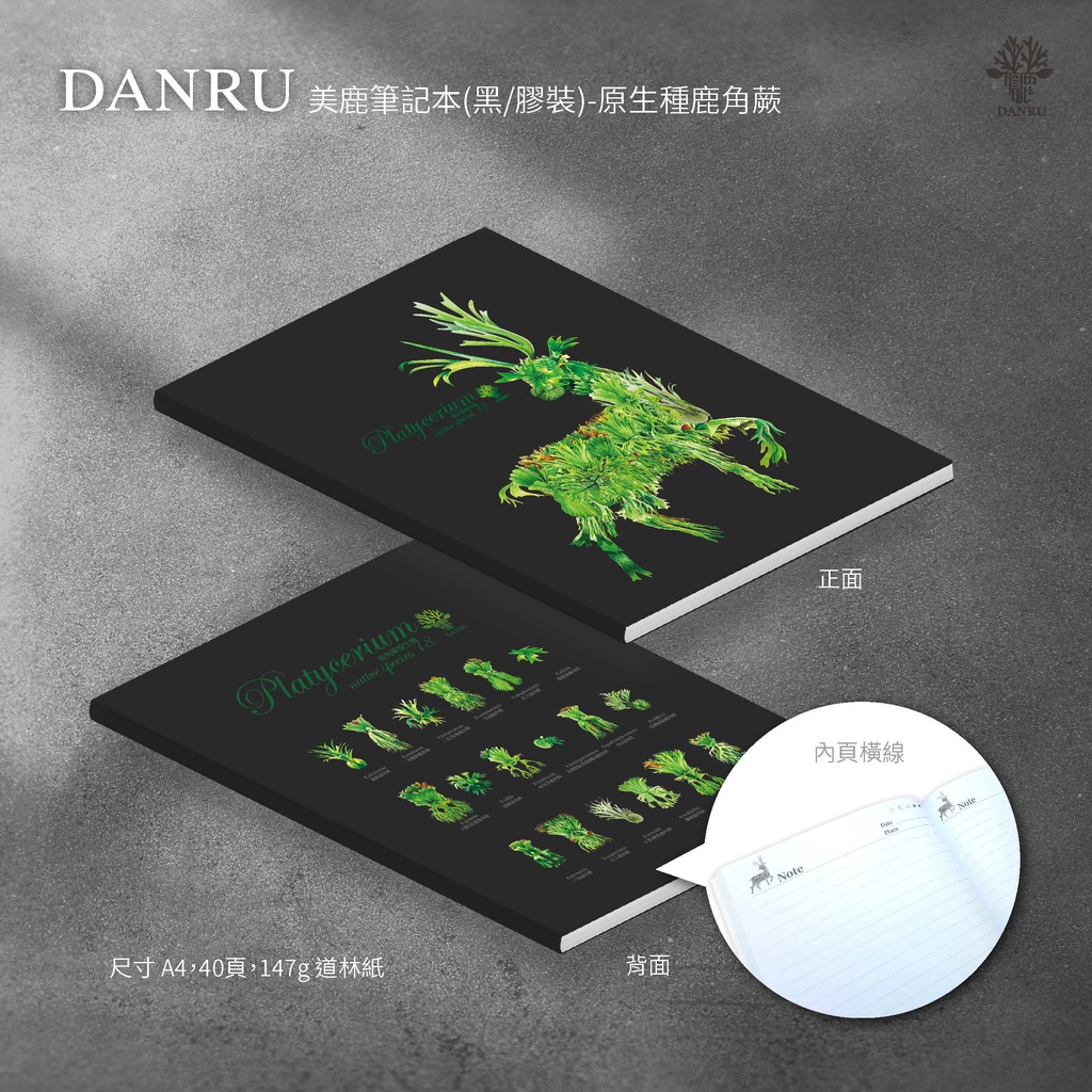 DANRU美鹿筆記本-原生種鹿角蕨 | 蝦皮購物