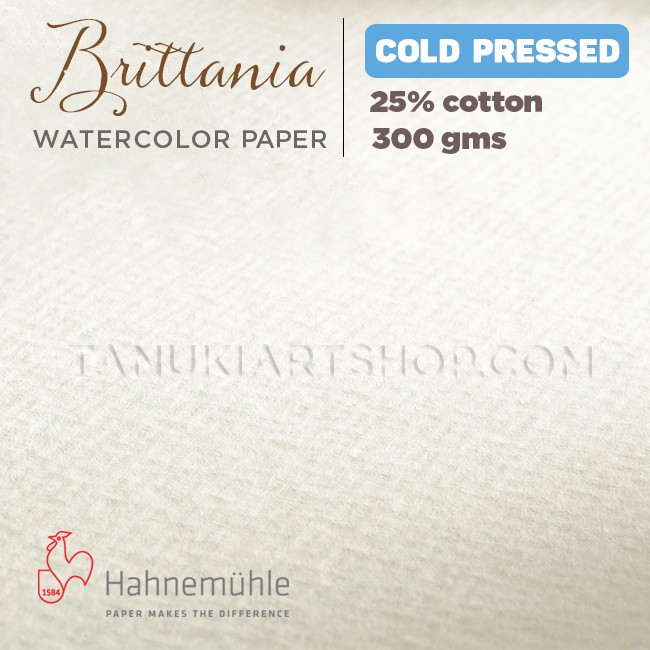 Blocco Carta Hahnemuhle Britannia 300gsm - 17x24 Cm Pressato A Caldo - Foto 10