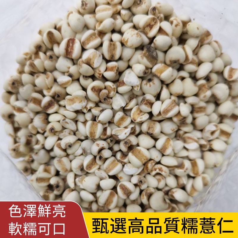 【穀粒穀力】糯薏仁1臺斤 今年新貨五谷雜糧薏苡仁薏仁瓣米薏仁碎米 熬粥煮粥材料大薏仁新米正宗新鮮生薏米仁五穀雜糧糯苡米 | 蝦皮購物