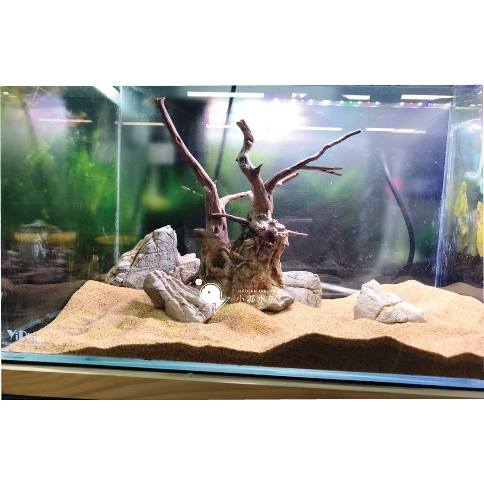 小郭水族-造景【龍涎石1kg】隨機出貨青龍石龍王石可參考ada常勝軍