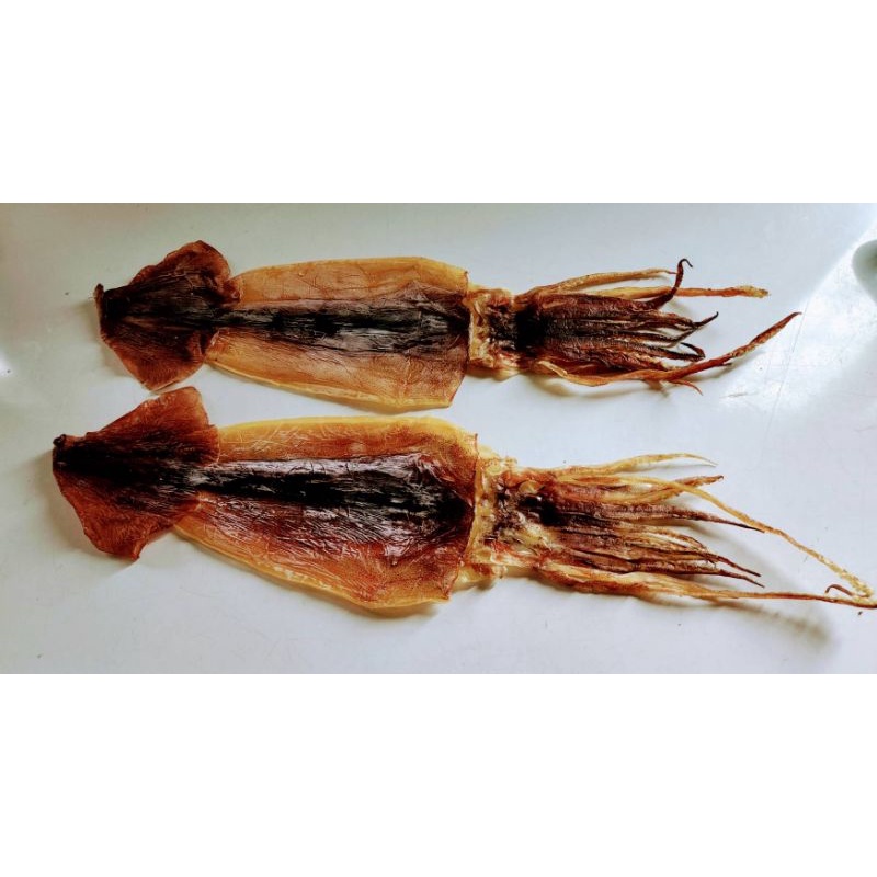 阿根廷魷魚（特大115-135克10尾送一）魷魚 魷魚乾 烤魷魚 | 蝦皮購物