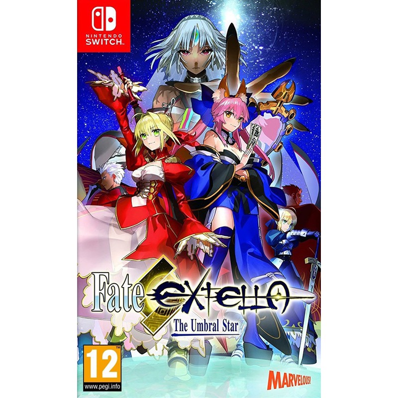 Nintendo store switch fgo