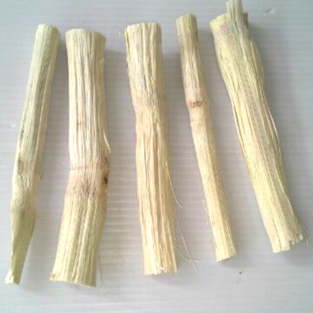 甜竹/無漂白/磨嘴磨牙磨齒/鸚鵡/蜜袋鼯/天竺鼠/兔子/倉鼠 | 蝦皮購物