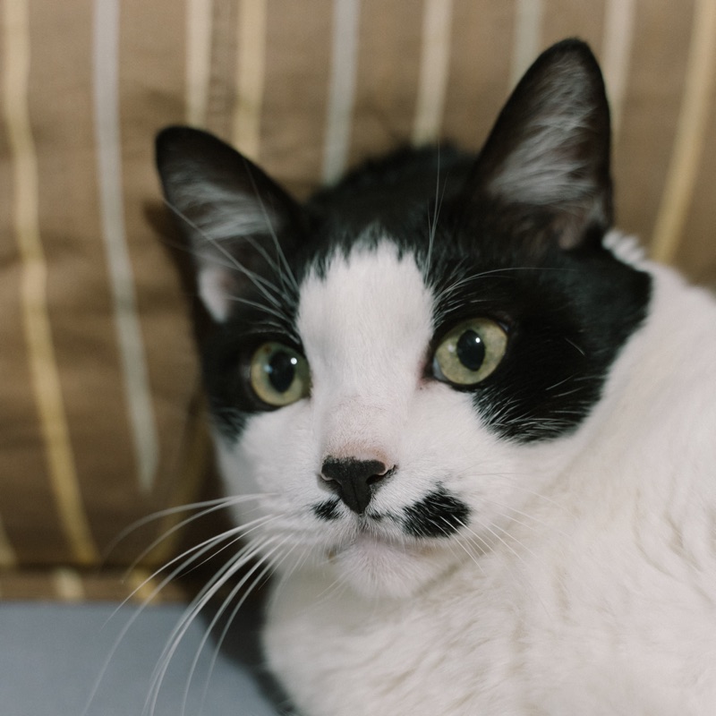 專屬賣場/もりもより君の夜に触れる直筆サイン入りアクリル