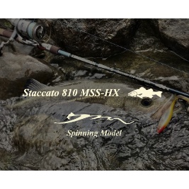 Tulala Staccato Corona 頂規系列【現貨】Staccato 810 MSS-HX