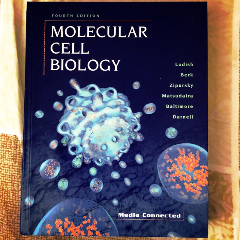 税込) Biology Molecular 細胞の分子生物学 of CELL THE 洋書 