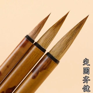 湘妃竹- 優惠推薦- 2025年11月| 蝦皮購物台灣