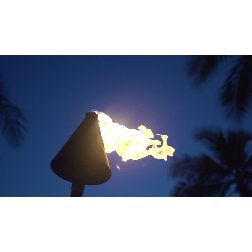 堤基火炬TIKI TORCH無燈心 | 蝦皮購物