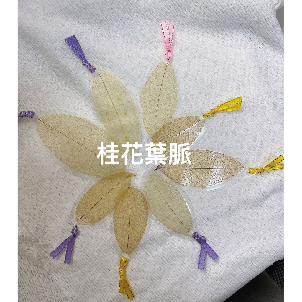 手工創作天然菩提/桂花(木析)/無患子葉脈書籤 樹葉 簡 …