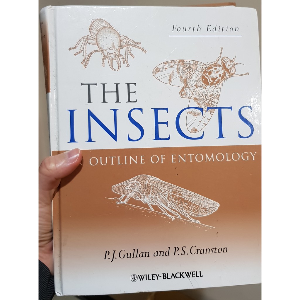 The Insects : An Outline of Entomology Gullan 昆蟲學 普通昆蟲學 昆蟲系 | 蝦皮購物