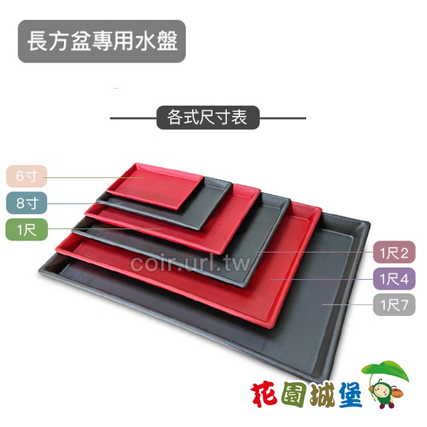 現貨-6寸8寸1尺尺2 尺4 尺7 長方盆專用水盤多款規格水盤長方形水盤接