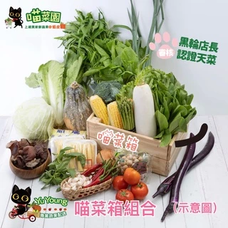 【喵菜園】  喵菜箱  一般生活蔬菜箱組合B（3-4人份）（需冷藏）  冷藏寄件