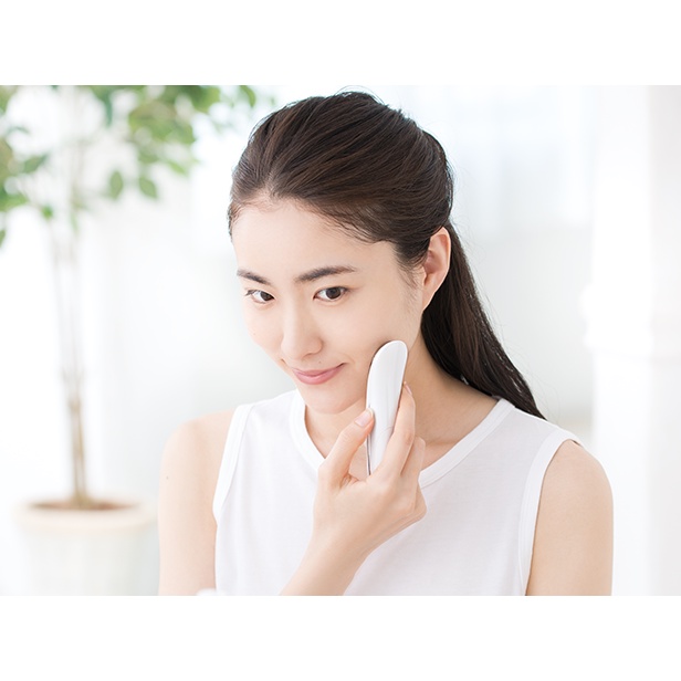 【脈點東東】日本TOFFY/Toffy Beauty微電流導入/導出儀 正品代購 | 蝦皮購物