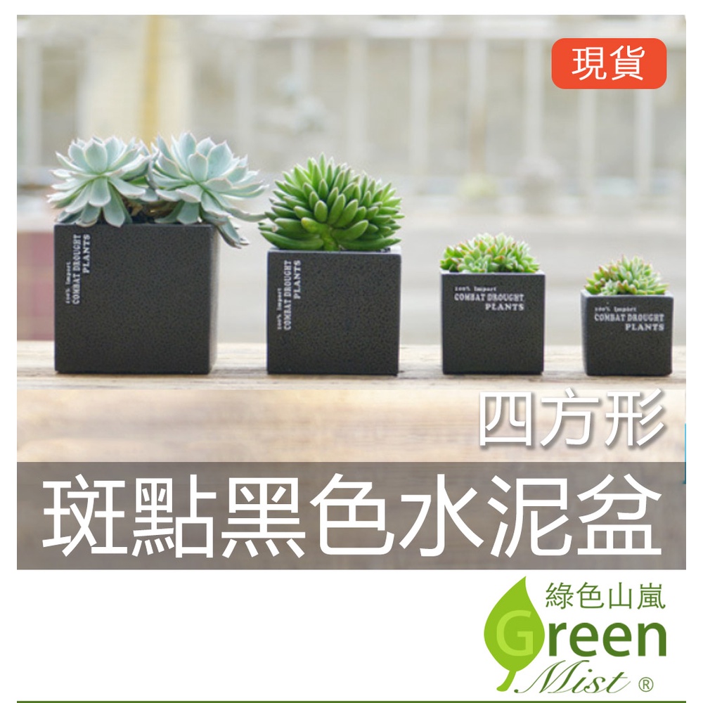 黑色花器- 園藝植作優惠推薦- 居家生活2025年4月| 蝦皮購物台灣