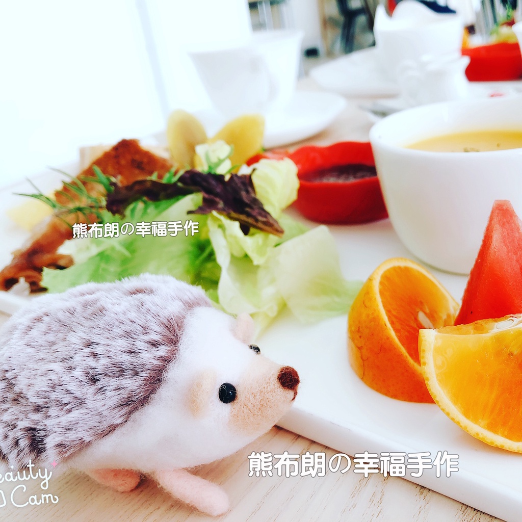 羊毛氈 DIY 材料包-可愛萌刺蝟 (原創.限量發售) 刺蝟布 絨布 絨毛布 【熊布朗の幸福手作】 | 蝦皮購物