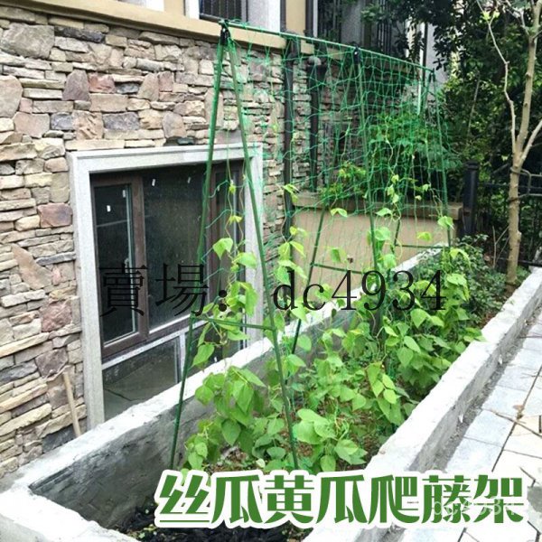 爬藤架 戶外木柵欄 瓜架 網架 花架 支撐架 黃瓜架 蔬菜架子 爬藤架 網豆角絲瓜葡萄攀爬支撐架 戶外陽臺種菜庭院 3O | 蝦皮購物