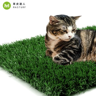 【草皮達人】人工草皮PE-3CM 寵物草皮(量大可議) 居家 寵物墊