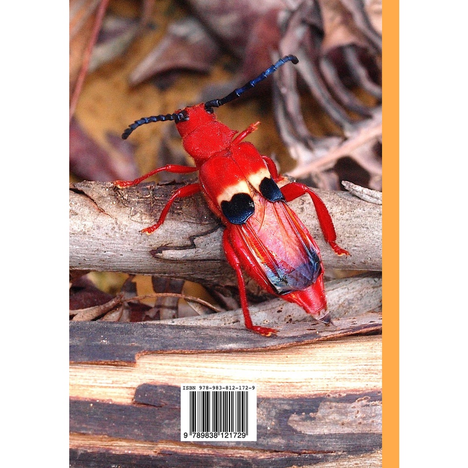婆羅洲甲蟲指南A Guide to Beetles of Borneo(精裝版) | 蝦皮購物