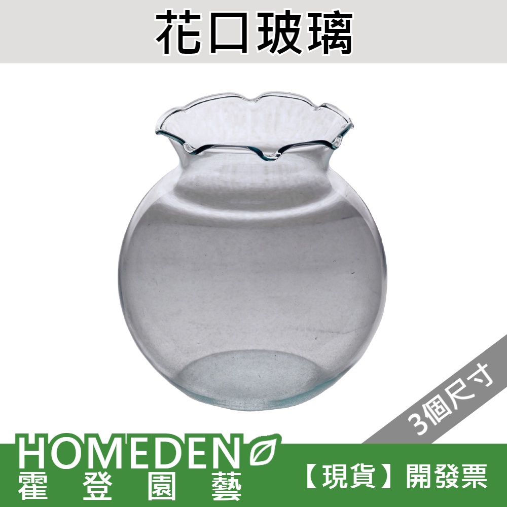 台灣現貨】 花口玻璃玻璃花器鬥魚缸緞帶花邊小花瓶【HOMEDEN 霍登園藝