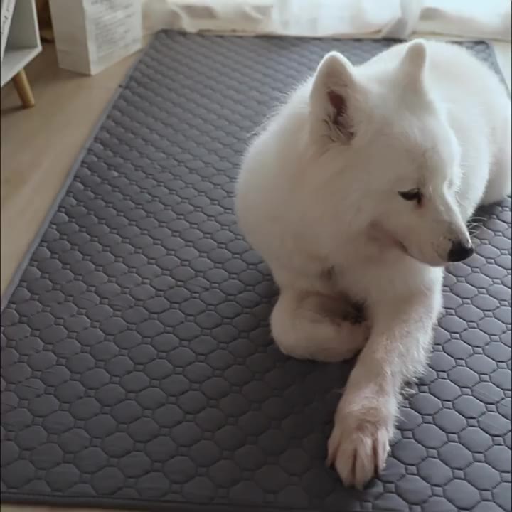 加厚防水可洗寵物尿布墊