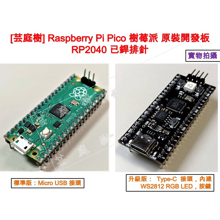[芸庭樹] 樹莓派 Raspberry Pi Pico RP2040 微處理器 開發板 MircoPython