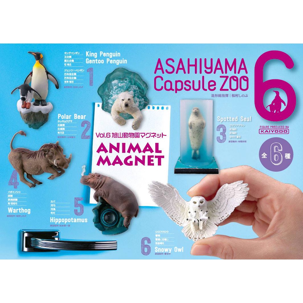 旭山動物園- 優惠推薦- 2024年4月| 蝦皮購物台灣