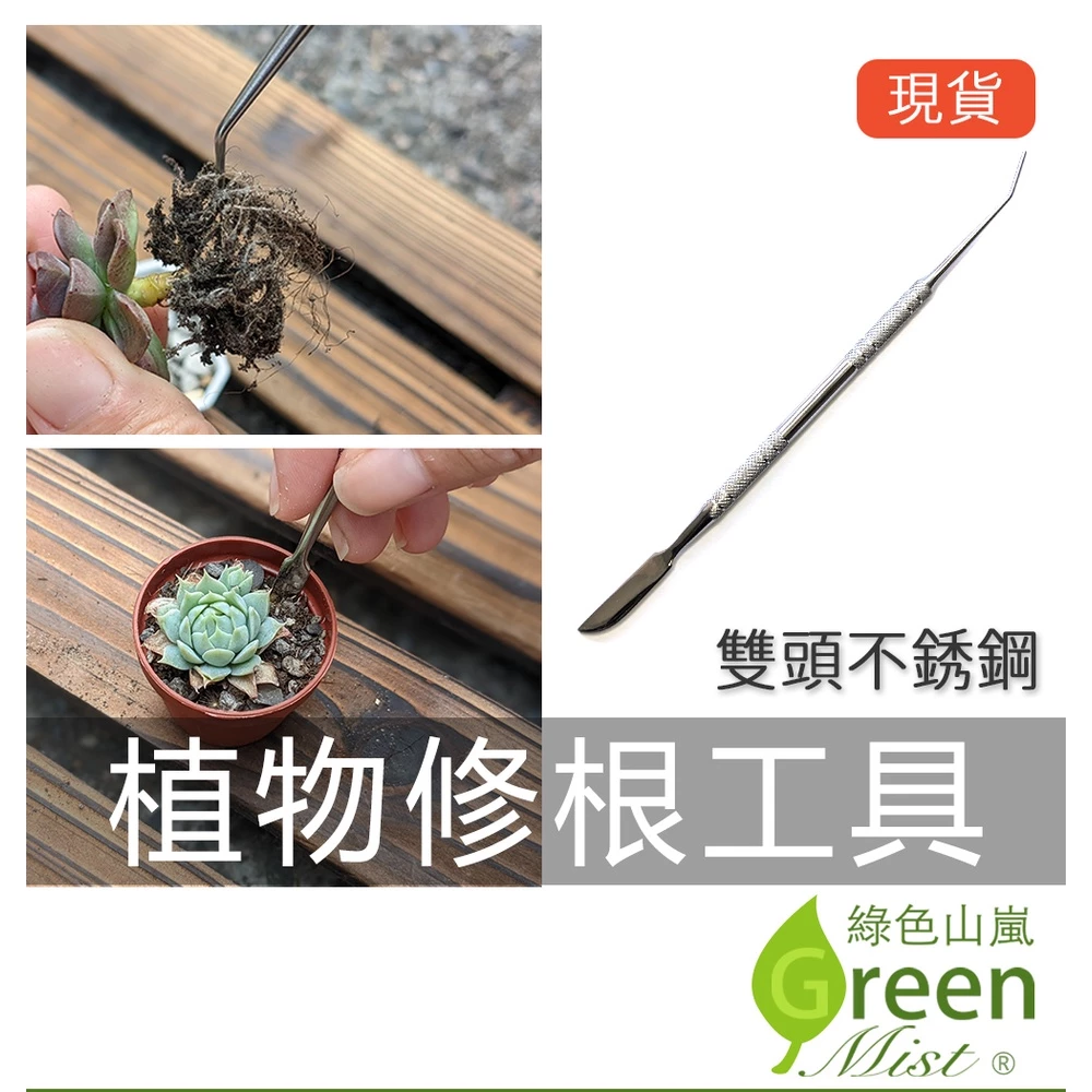 植物修根工具 挖土工具 修根器 多肉工具 不鏽鋼工具 園藝工具【綠色山嵐】