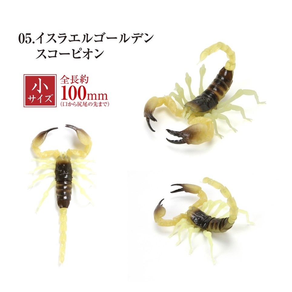 現貨』生物大圖鑑-蠍子篇扭蛋轉蛋【蛋樂寶】 | 蝦皮購物