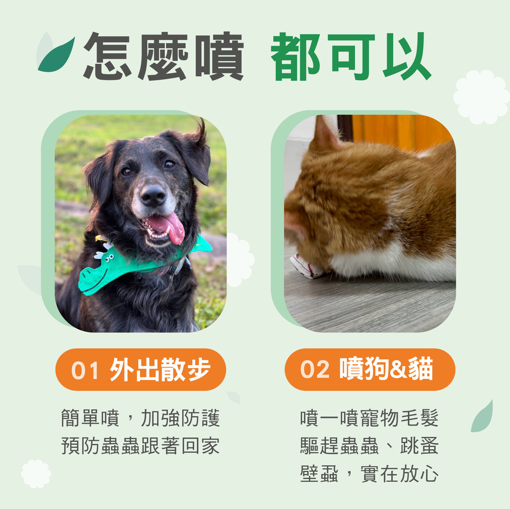 【蚤蜱逃】驅蚤噴劑 速效噴霧 寵物 天然精油 科學實證 專業獸醫研發 跳蚤 犬貓驅蚤 蚊子 驅蟲 雪松精油 香茅 | 蝦皮購物