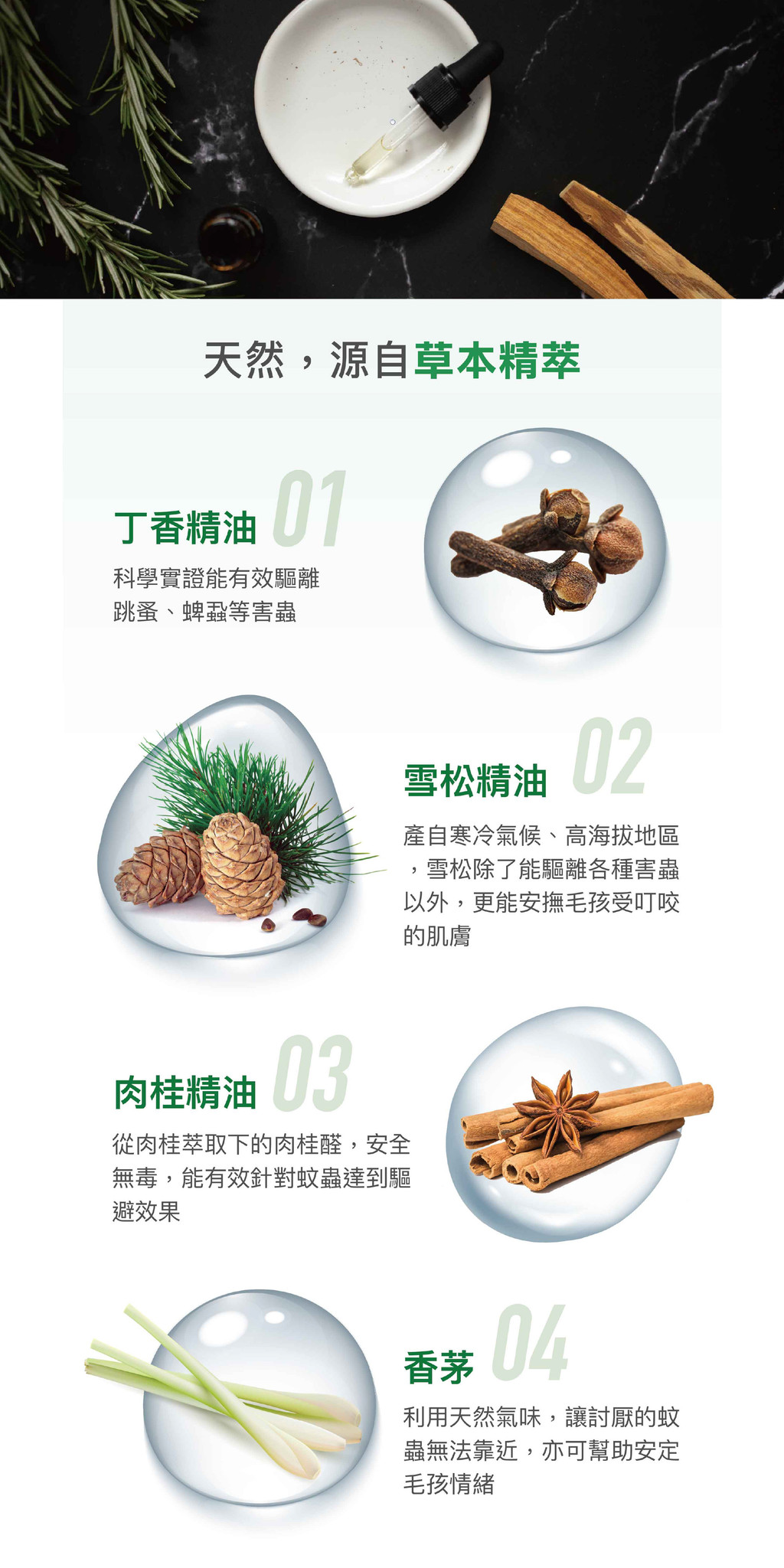 【蚤蜱逃】驅蚤噴劑 速效噴霧 寵物 天然精油 科學實證 專業獸醫研發 跳蚤 壁蝨 蚊子 驅蟲 雪松精油 香茅 狗貓 | 蝦皮購物