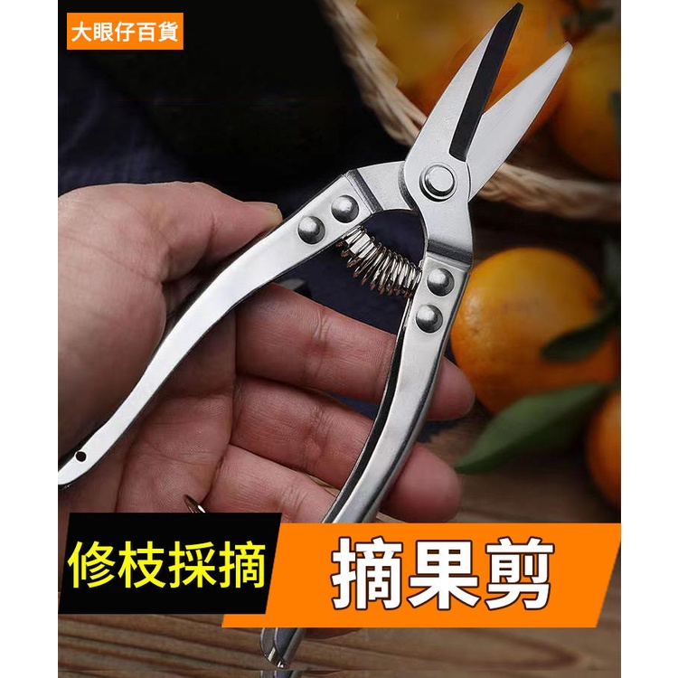 修枝剪 不锈钢修枝剪 园艺树枝剪 摘果剪 花枝剪 修剪树枝剪刀 修枝剪刀 果树果枝树枝修枝剪园林工具 | 蝦皮購物