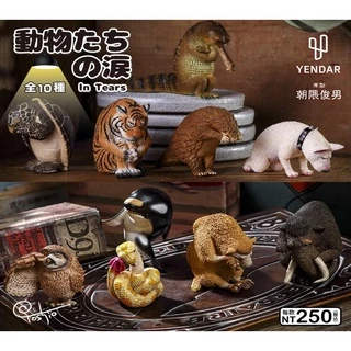 朝隈俊男｜優惠推薦- 蝦皮購物- 2025年4月