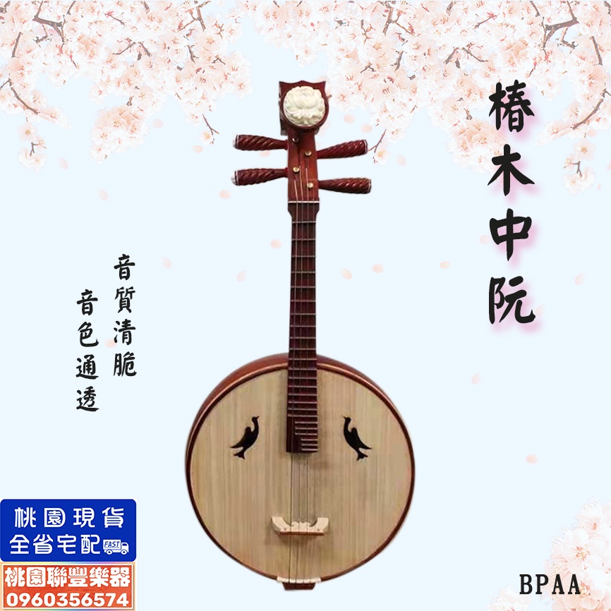 《∮聯豐樂器∮》國樂樂器 中阮 初學/專業/演奏/考級/椿木/花梨木/雞翅木/刺蝟紫檀/民族/中國/練習《桃園現貨》 | 蝦皮購物