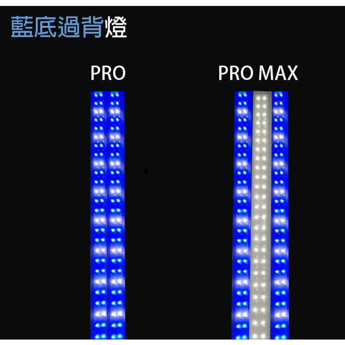 金龍 💥台灣製免運隔日到貨💥JKS CX-6 龍魚激色烤燈增豔燈紅龍燈金