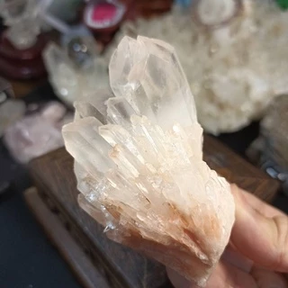 橘皮水晶- 優惠推薦- 2025年10月| 蝦皮購物台灣