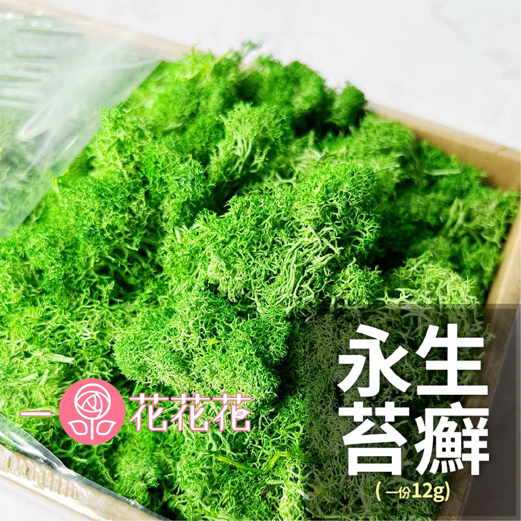 AliSHA 永生苔癬 12g | 蝦皮購物