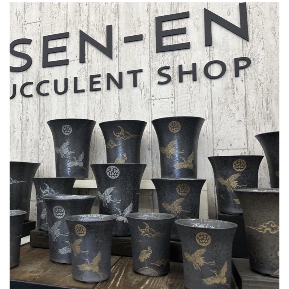 宮下将太 鶴仙園 XL 【公式通販】